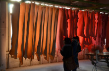 t02200146_0800053012327660501