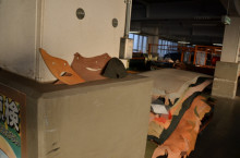 t02200146_0800053012327662173