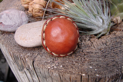 クルミ包みボタン